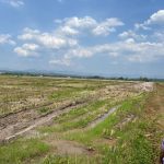 ถ่มดินพะเยา-โพธิ์ทองซีเมนต์บล็อค-1 (18)