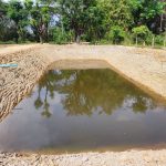 ถ่มดินพะเยา-โพธิ์ทองซีเมนต์บล็อค-1 (24)