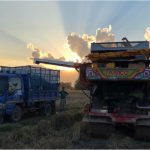 ถ่มดินพะเยา-โพธิ์ทองซีเมนต์บล็อค-1 (4)